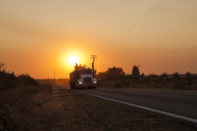 Almond Shipments Set New Record – with Two Months Still Left in Crop Year