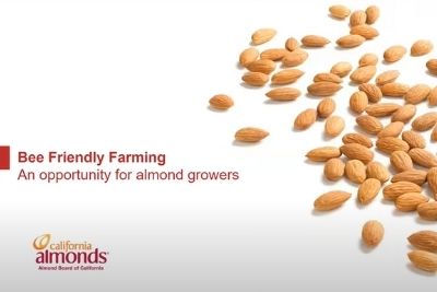 Almonds