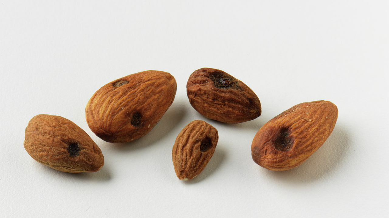 Almonds