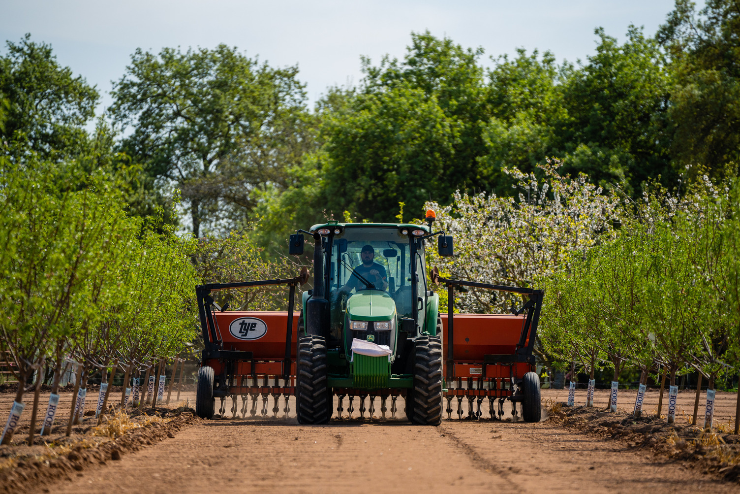 Five Questions about Almonds – Answered