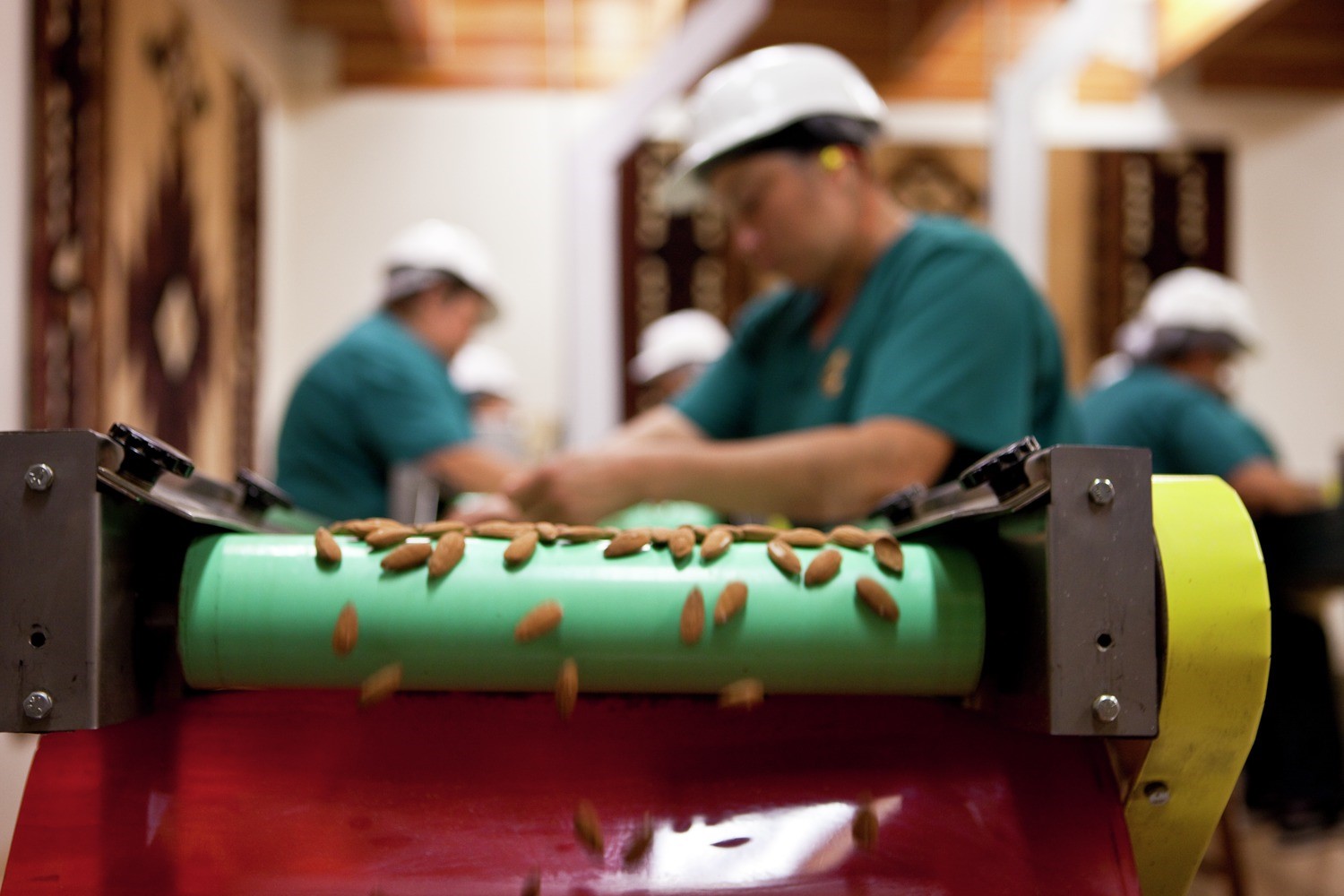 Almond processing