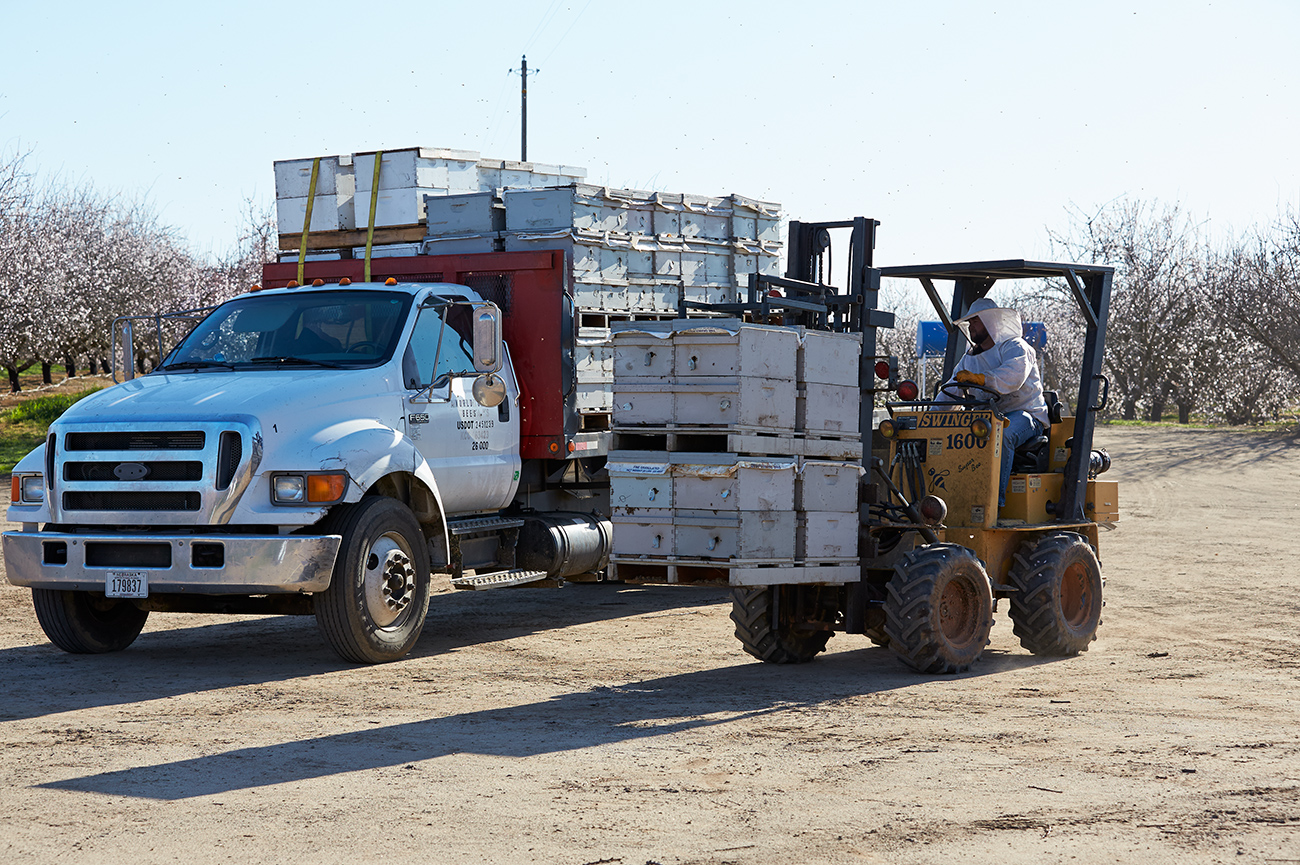 Bee Hives Being Transported