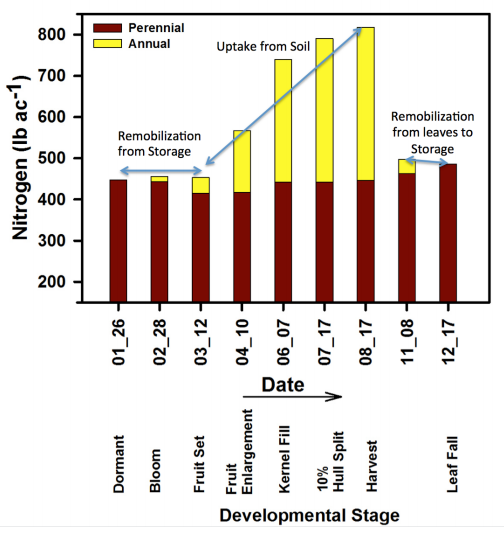 Chart_0.png