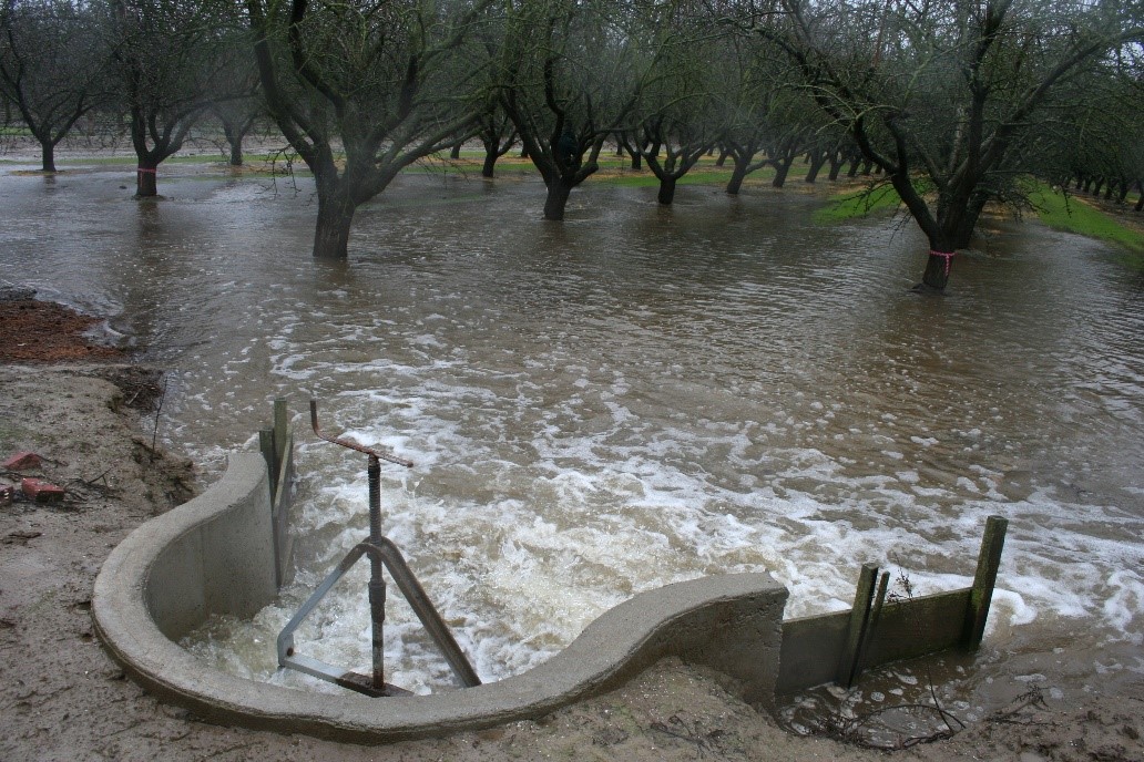 Groundwater