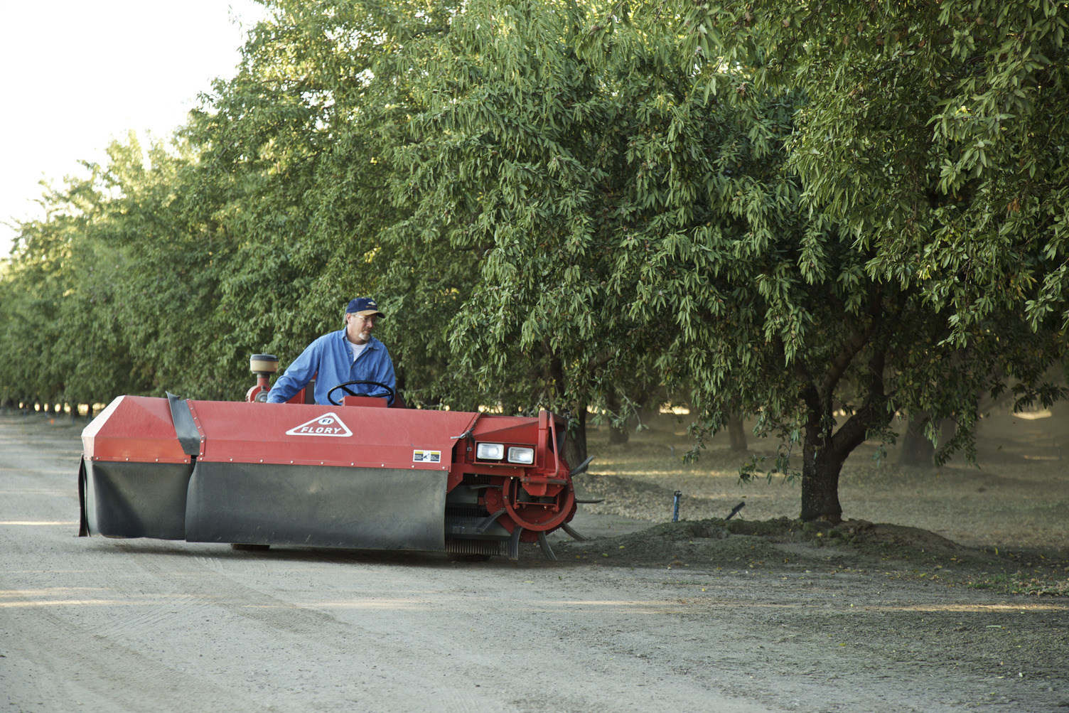 Harvest1.jpg