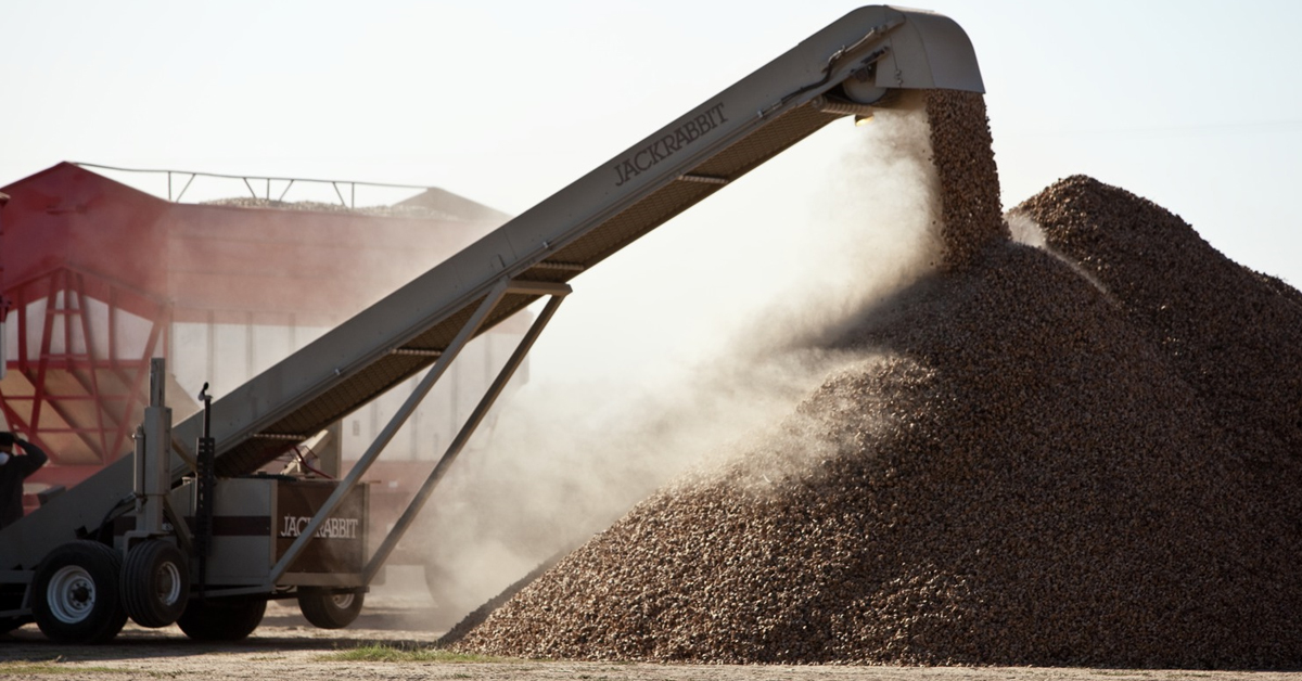 Almond Stockpile