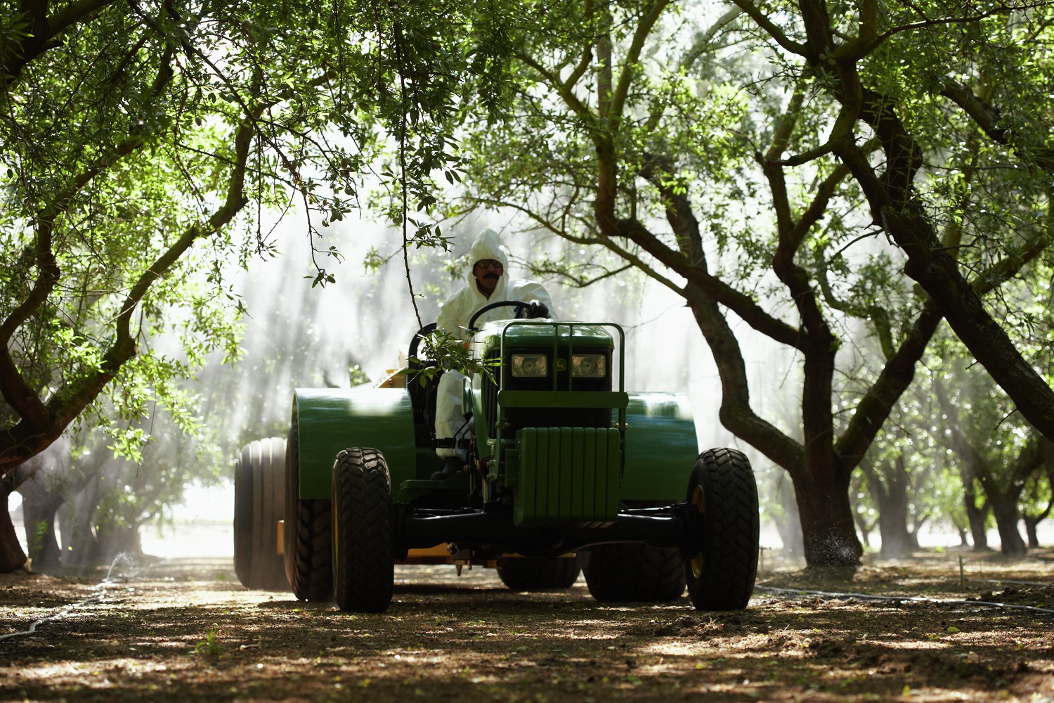 Spraying in orchard