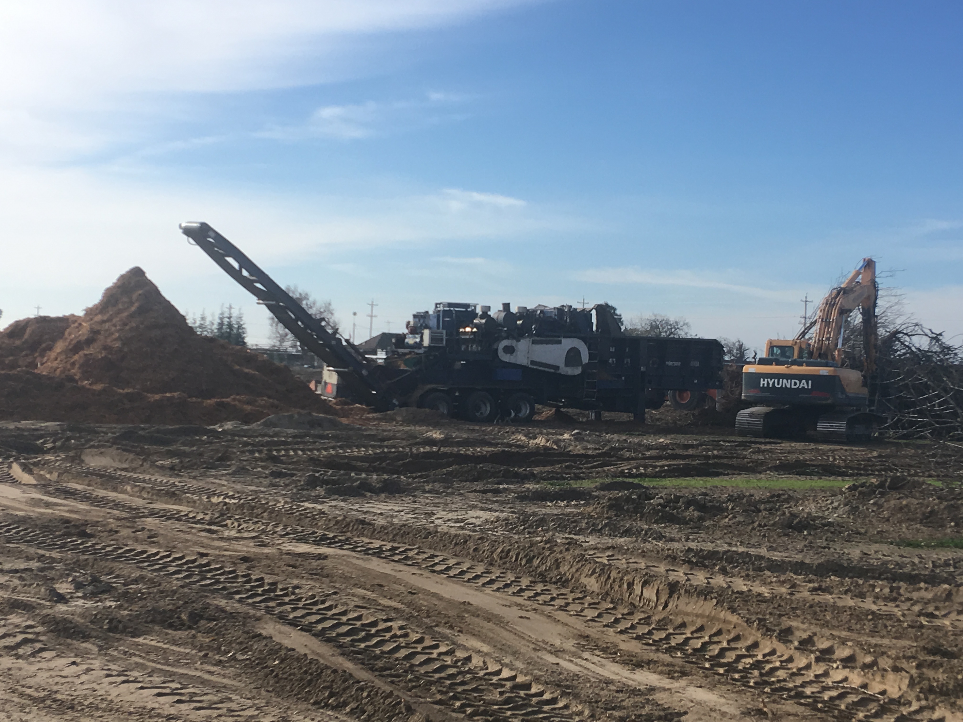 Orchards being mulched