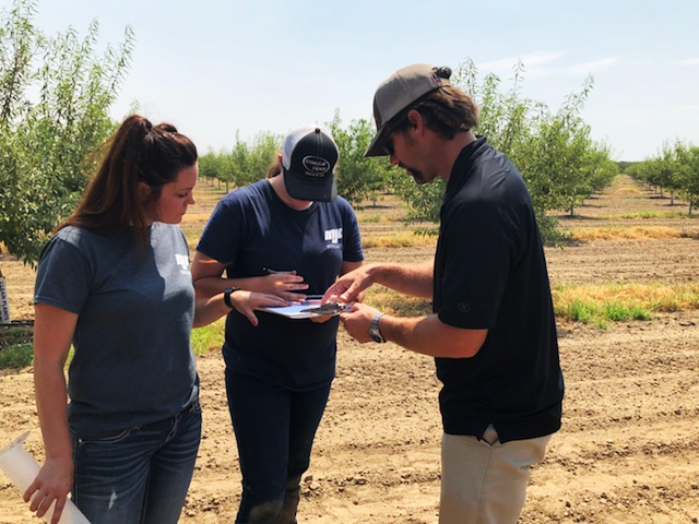 Webb and Chaney irrigation results