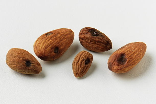 Almonds