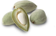 green almonds