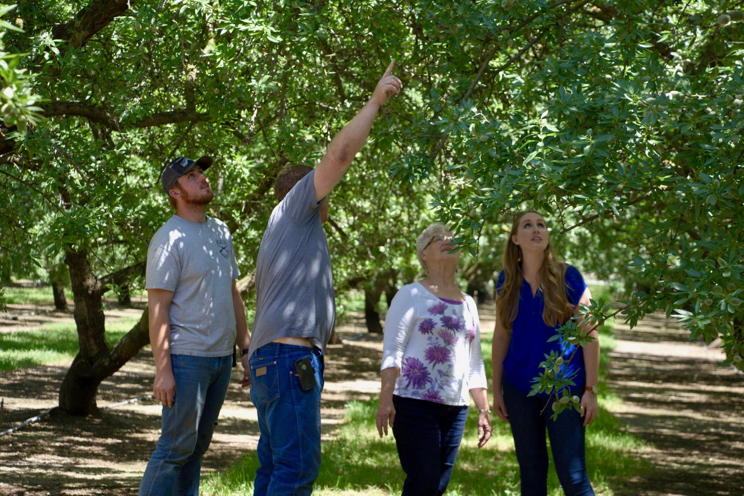 A farming family looking at an almond tree.