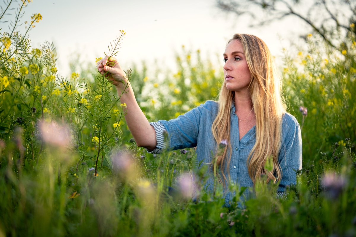 Pollination