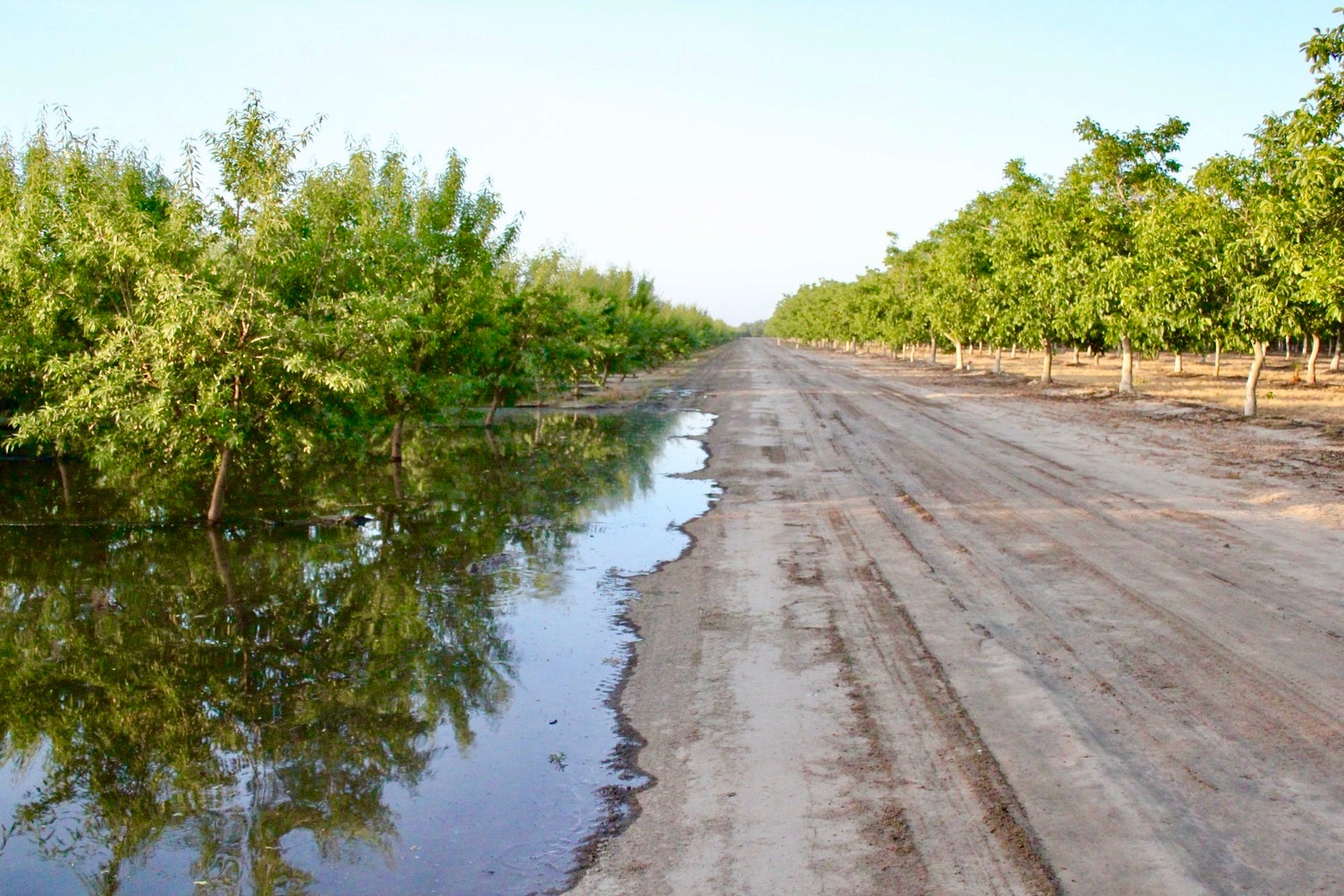 groundwater recharge