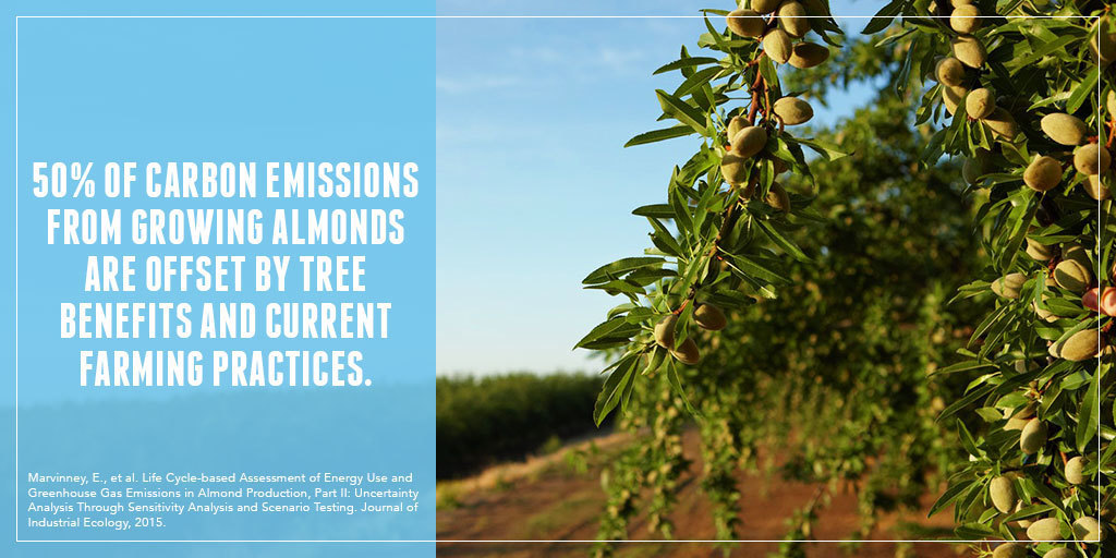 What is #AlmondSustainability?