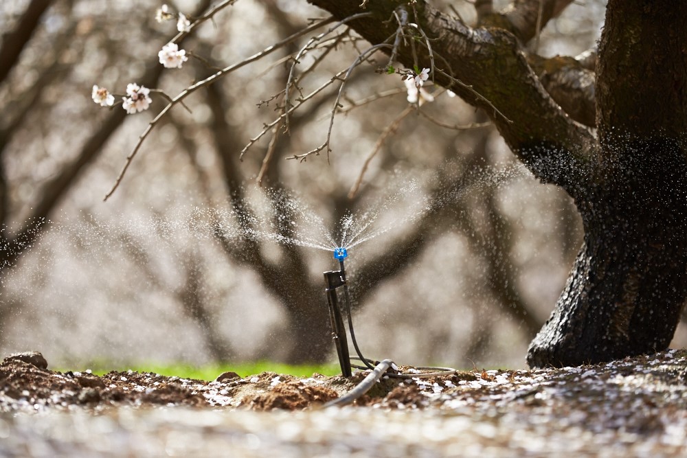 Irrigation System