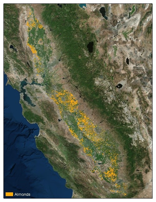 Land IQ map of California almonds